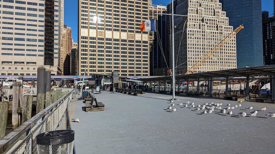 NYC_2024-02-06 08-59-55_PXL_20240206_135955440
